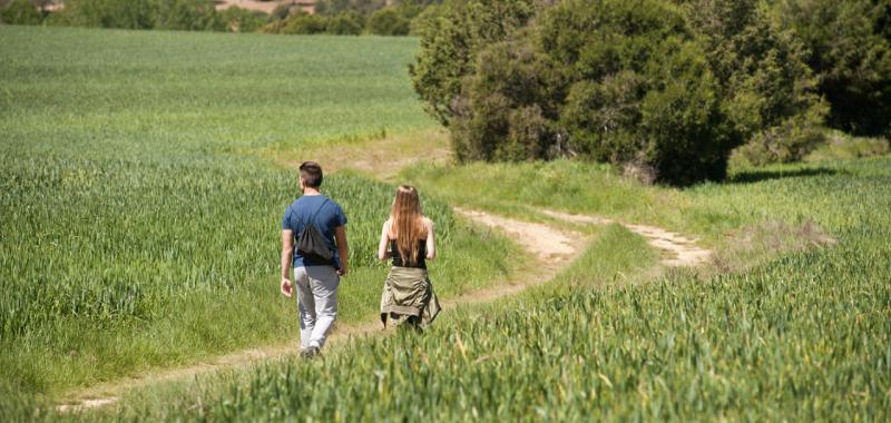 Burgos Rural